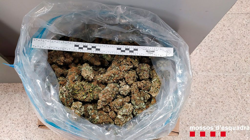 Dos detenidos por transportar 1,4 kilos de marihuana y otro por reclamar que la droga era suya Dos detenidos por transportar 1,4 kilos de marihuana y otro por reclamar que la droga era suya
