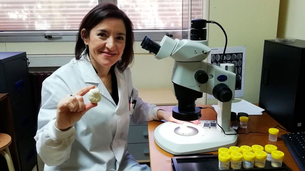 20200117-SOC-LAIA-ALEGRET-PALEONTOLOGA-EPRESS