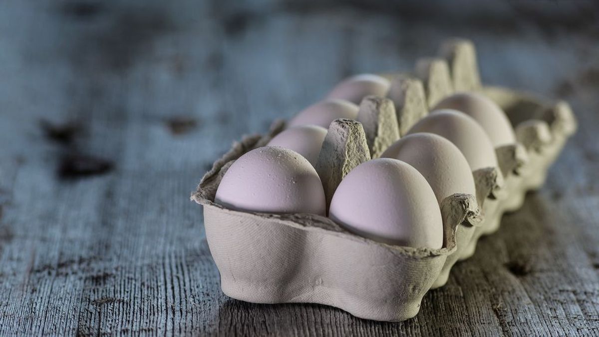 Mira bien donde pones los huevos: cuál es el lugar correcto para su conservación