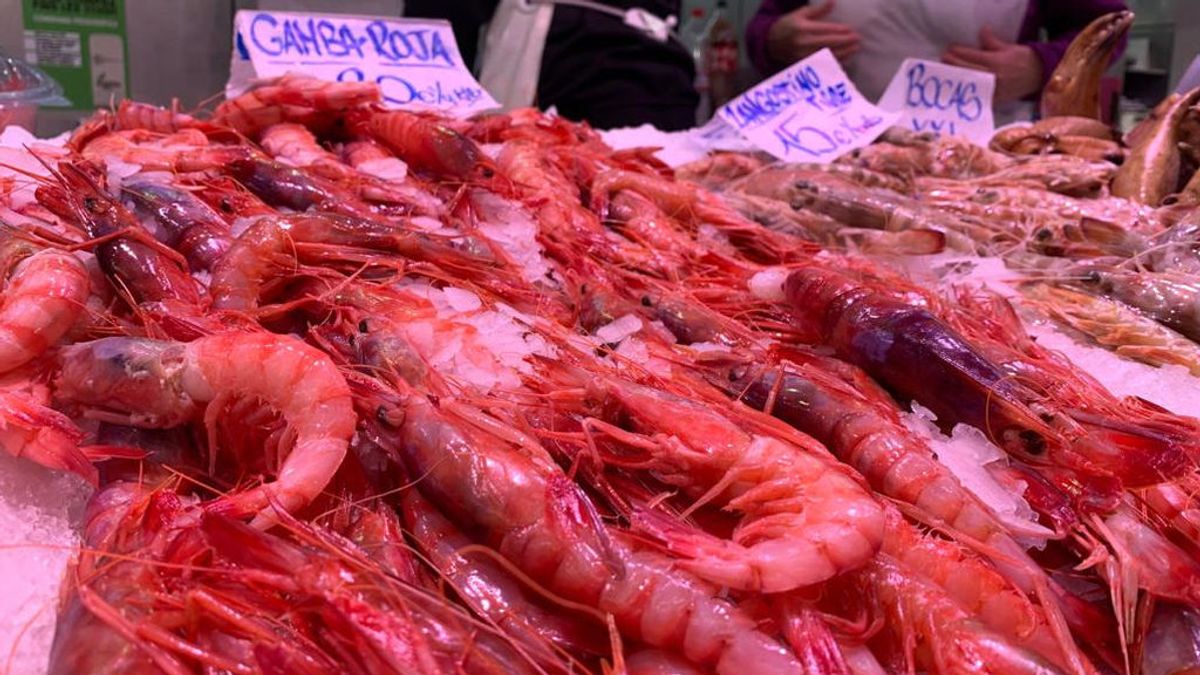 Las rebajas llegan al marisco: la gamba roja a 40 euros frente a los 180 de Navidad Las rebajas llegan al marisco: la gamba roja a 40 euros frente a los 180 de Navidad