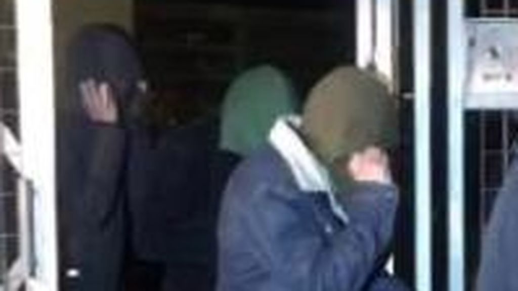DETENIDOS VIOLACION MURCIA
