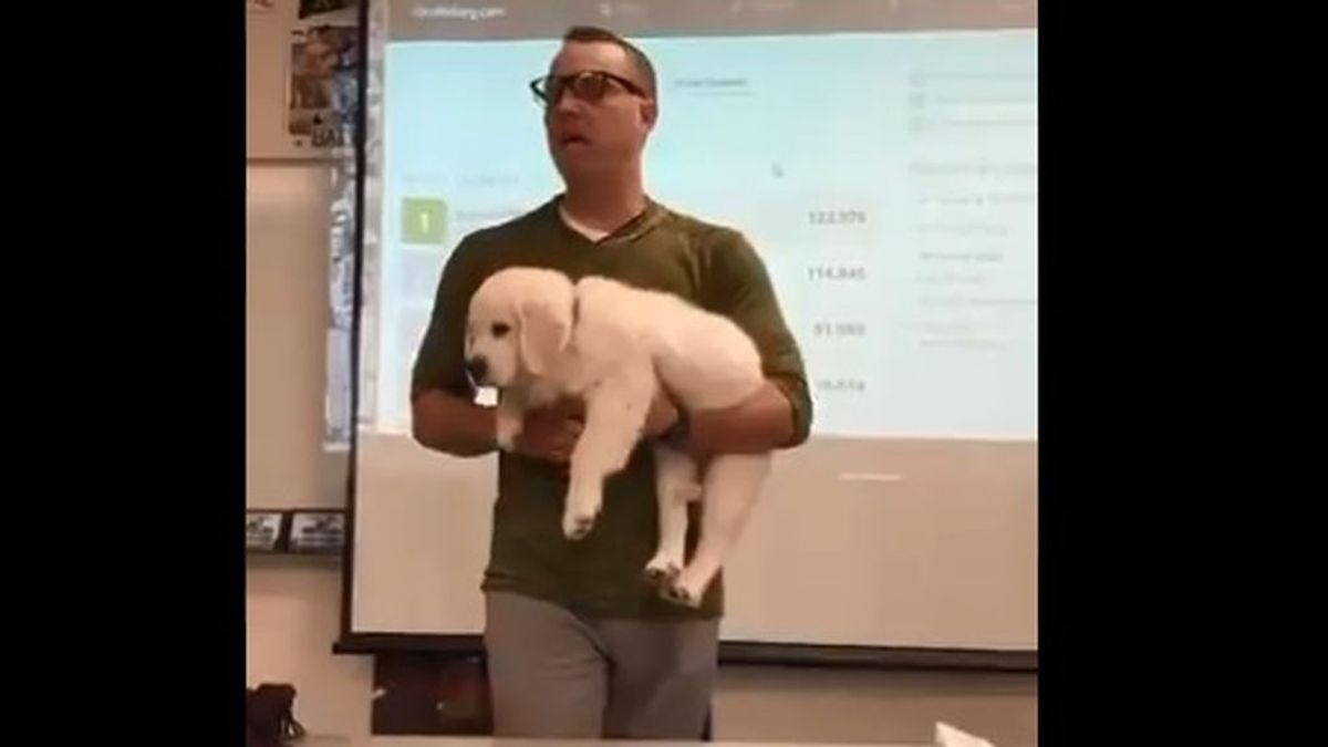 La broma de un profesor para inspirar a sus alumnos a ganar un concurso: "Si perdéis, mato al perro"