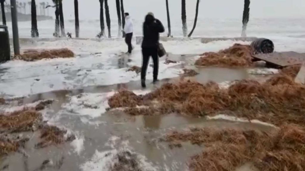 Así ha quedado el paseo marítimo de Jávea