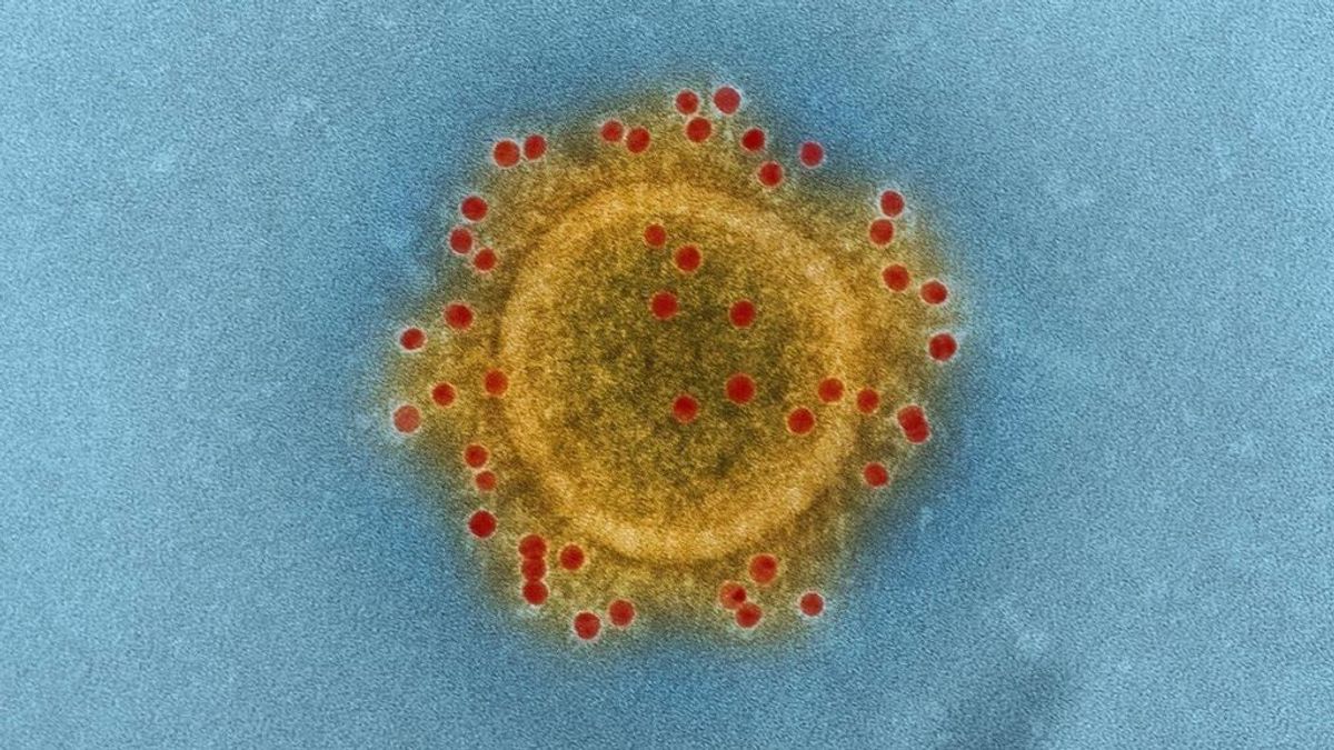 Coronavirus: así es el nuevo germen que viene de China y cómo prevenirlo