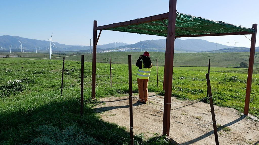 Un vigilante medioambiental en su puesto de observación