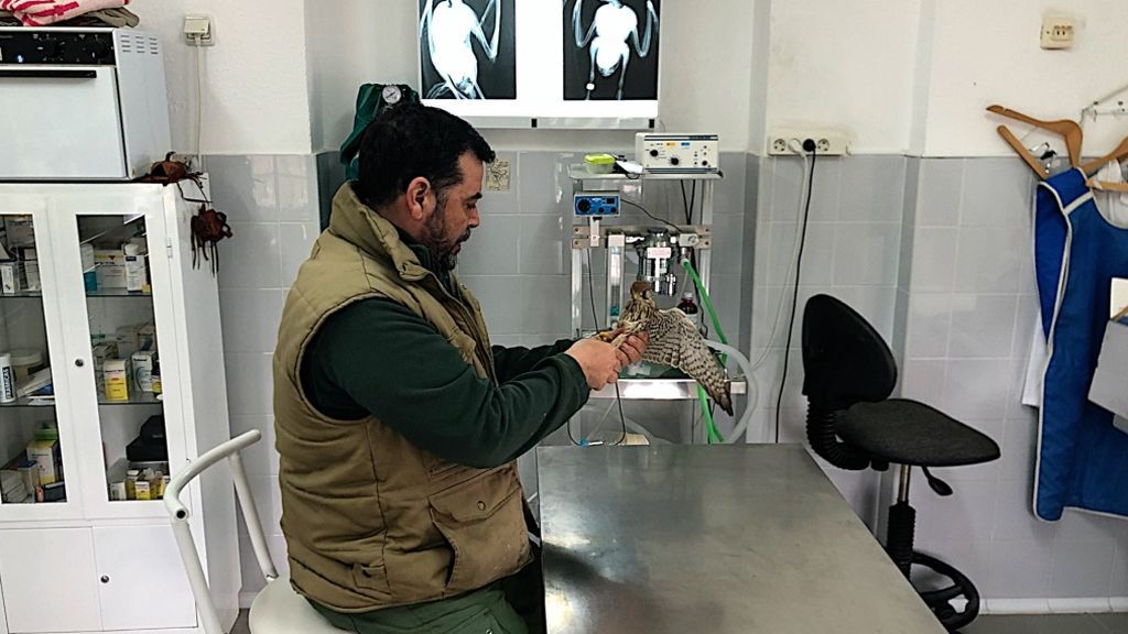 El veterinario Juan Calos Cápuz con Cinco Rojo