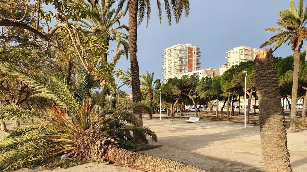 Paseo de Mataró