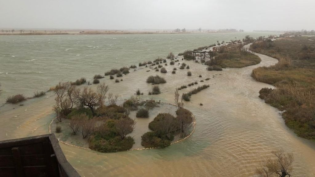 EuropaPress_2602575_Inundaciones_en_la_zona_del_delta_del_Ebro_por_la_borrasca_'Gloria'_