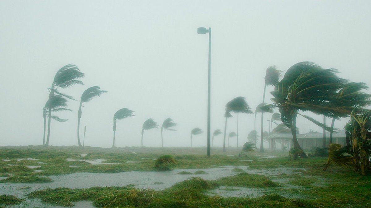 Sequías, olas de frío y huracanes: la factura por alterar el clima la pagaremos todos Sequías, olas de frío y huracanes: la factura por alterar el clima la pagaremos todos