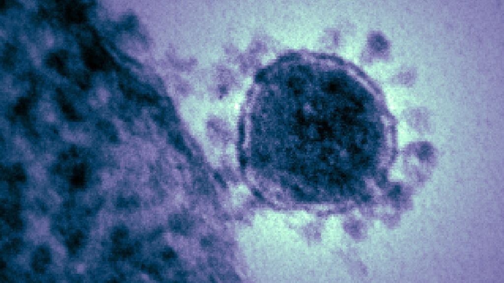Sanidad tiene listo un protocolo de coronavirus aunque el riesgo es bajo