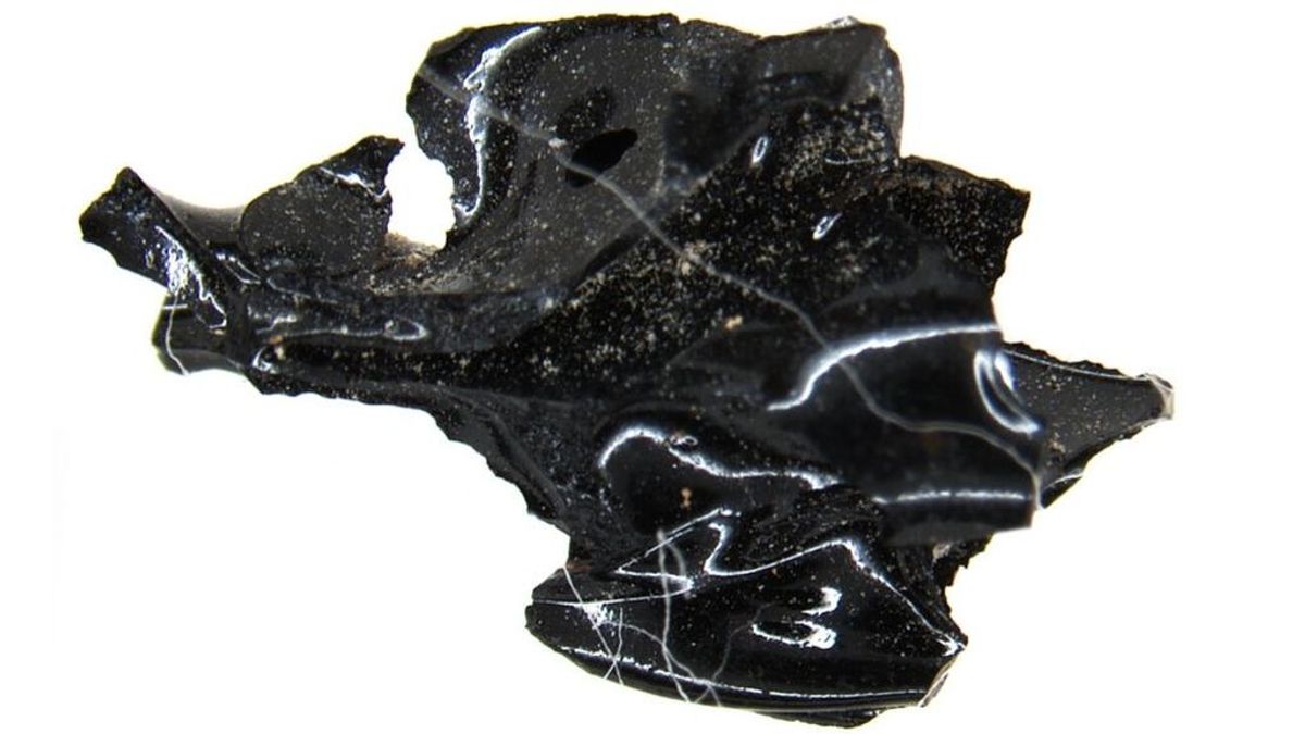 La lava del Vesubio convirtió en cristal un cerebro humano