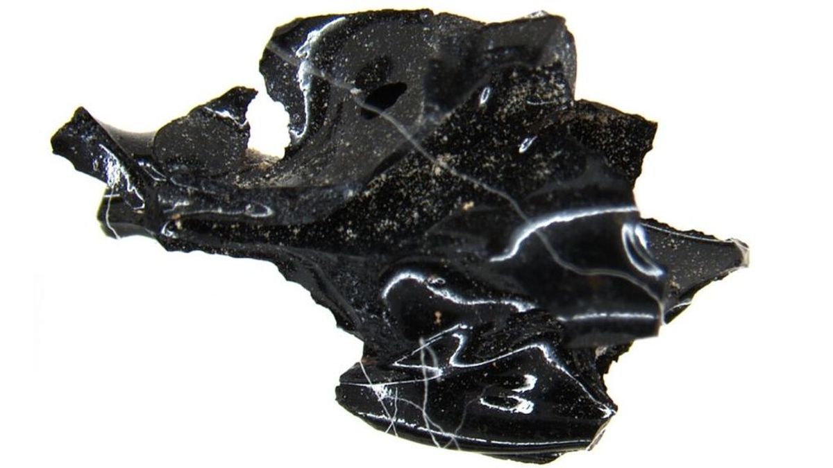 La lava del Vesubio convirtió en cristal un cerebro humano La lava del Vesubio convirtió en cristal un cerebro humano
