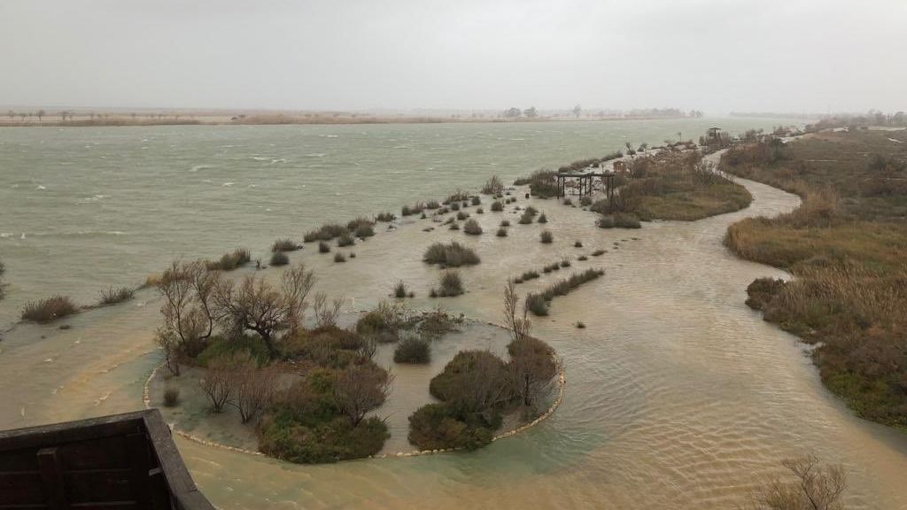 Los daños que deja el temporal en el Delta del Ebro superan los 9 millones de euros