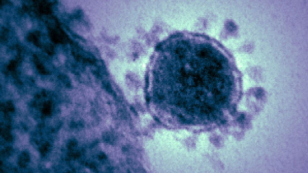 Sanidad no descarta que aparezca en España algún caso importado del coronavirus de China procedente de la zona de riesgo