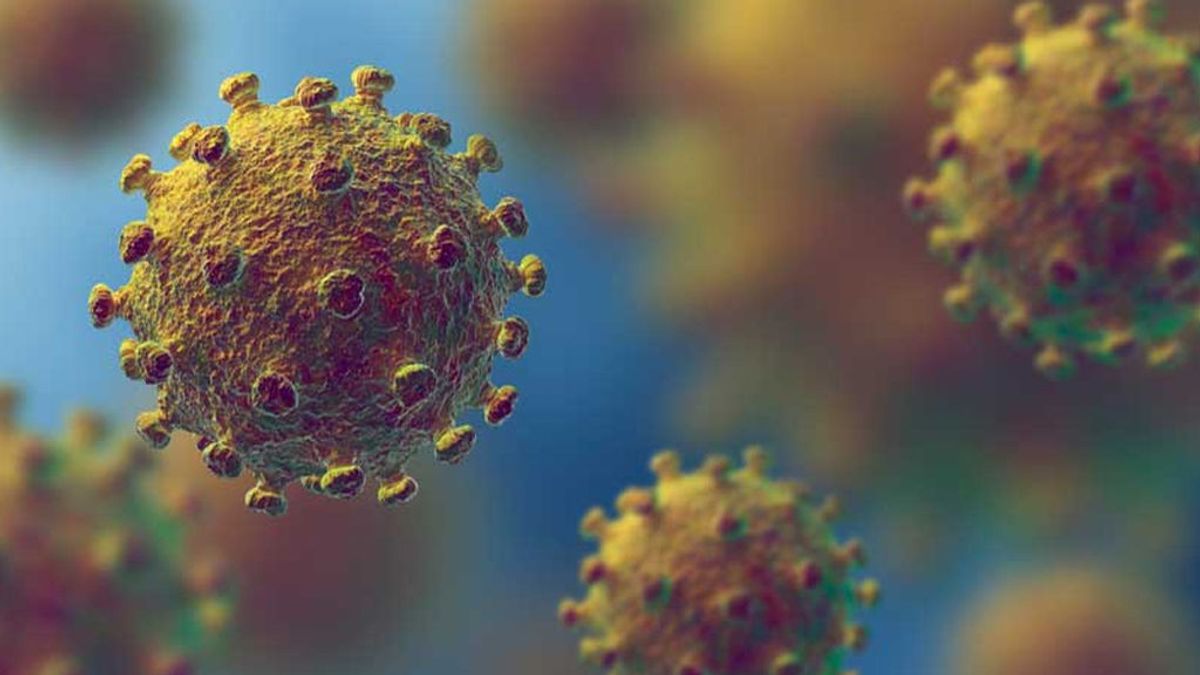 Dos  posibles casos de coronavirus en España