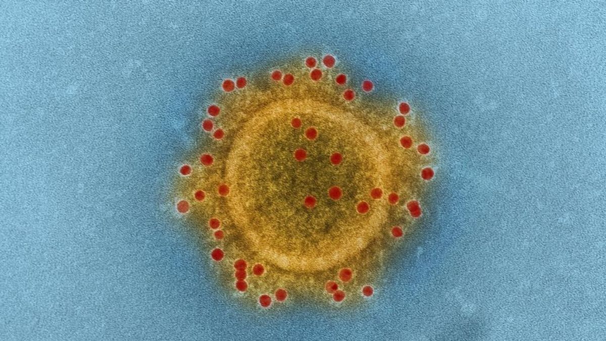 Sanidad descarta un caso de coronavirus en una persona que llegó a Barcelona procedente de China