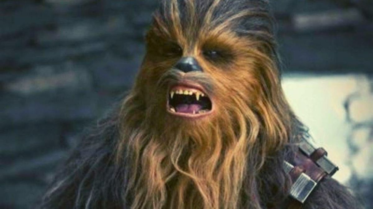 El enemigo de Chewbacca es la lavadora: un peluche