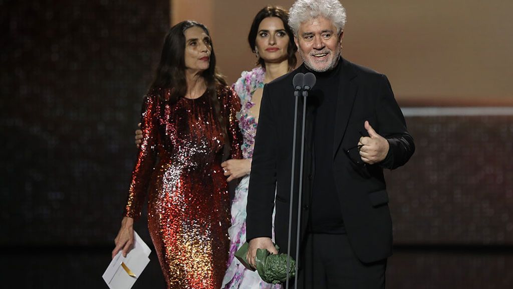 Pedro Almodóvar, mejor director de los Premios Goya 2020 por 'Dolor y Gloria' Pedro Almodóvar, mejor director de los Premios Goya 2020 por 'Dolor y Gloria'