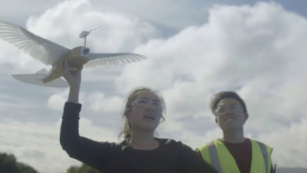 Un robot alado que imita el vuelo de las aves inspirará la próxima generación de robots