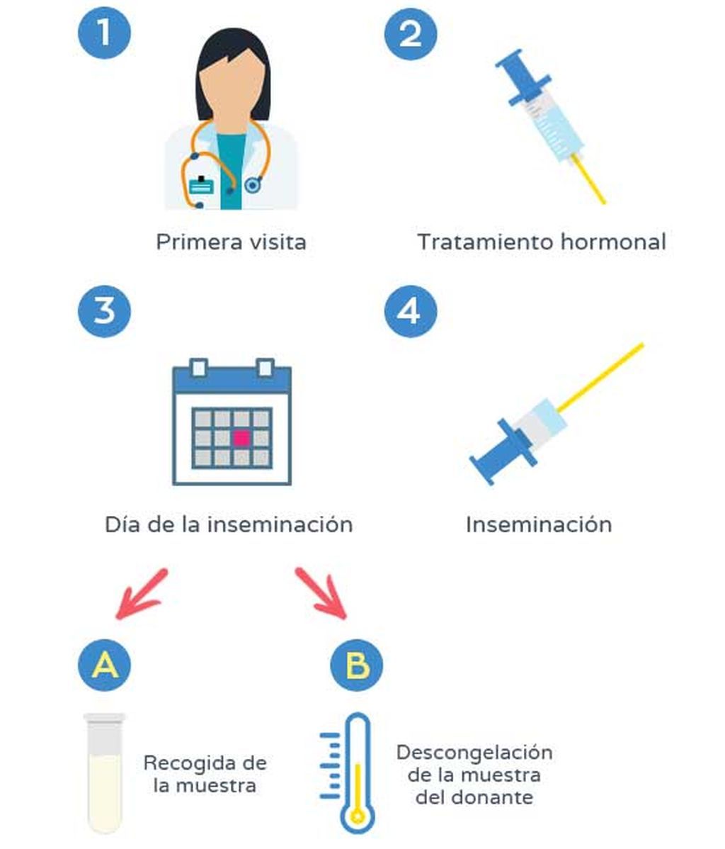 Paso a paso de la inseminación artificial (IA)