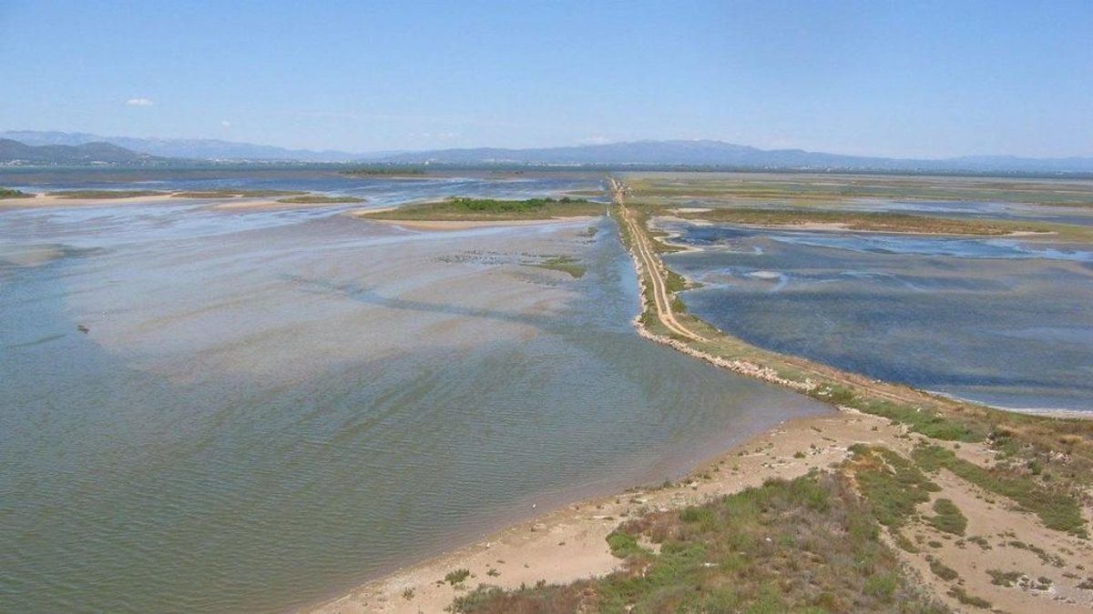 El Delta del Ebro podrá desaparecer: denuncian que el problema no es sólo el temporal