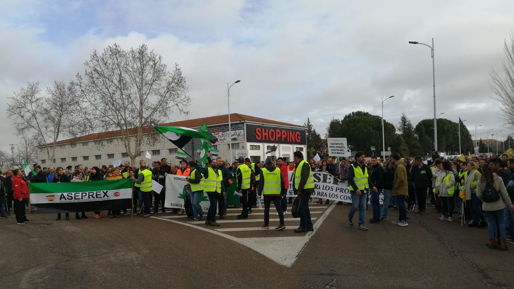 Los incidentes entre agricultores y Policía en Don Benito, desde dentro: “Dispararon pelotas de goma a las mujeres” Los incidentes entre agricultores y Policía en Don Benito, desde dentro: “Dispararon pelotas de goma a las mujeres”