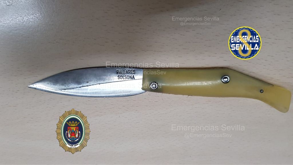 Depredador sexual Sevilla