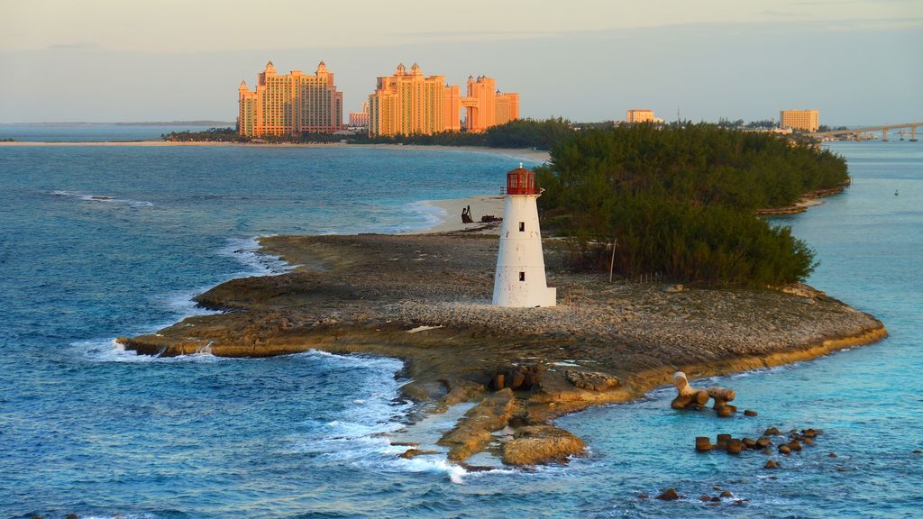 Se buscan voluntarios para vivir gratis dos meses en las Bahamas por una buena causa