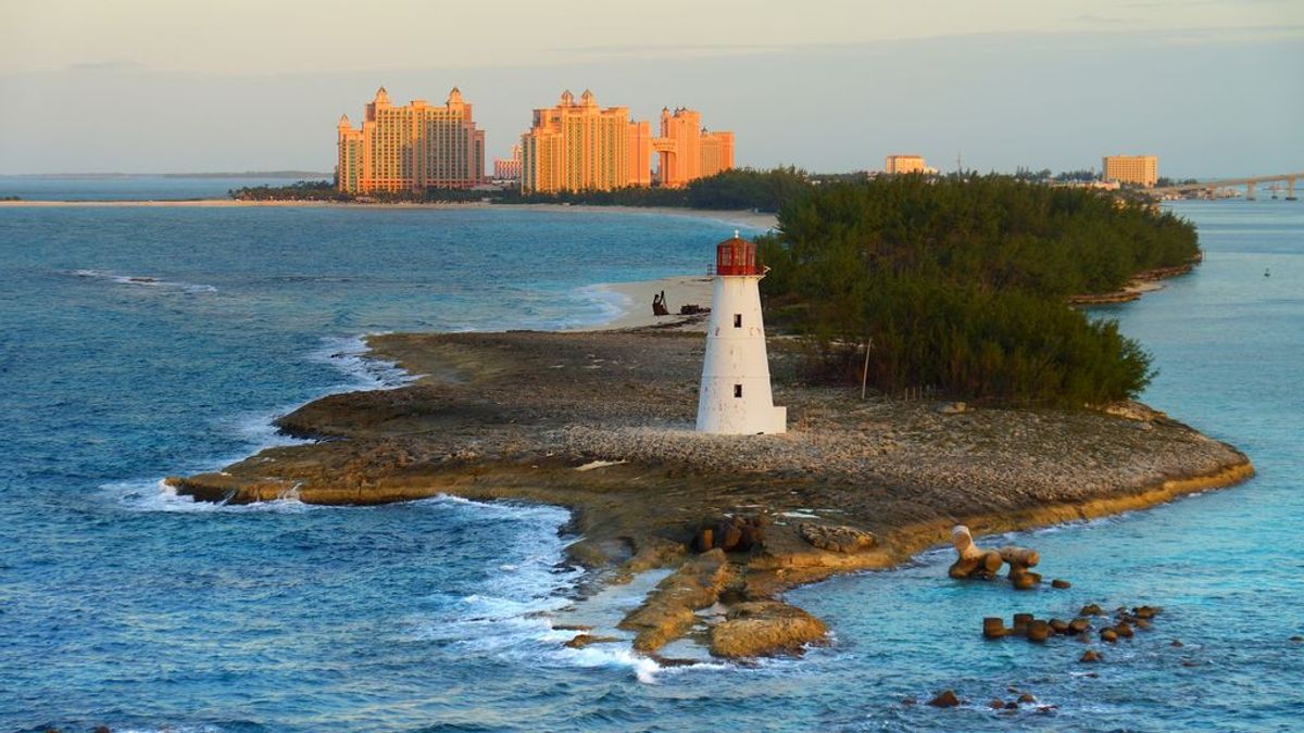 Se buscan voluntarios para vivir gratis dos meses en las Bahamas por una buena causa Se buscan voluntarios para vivir gratis dos meses en las Bahamas por una buena causa