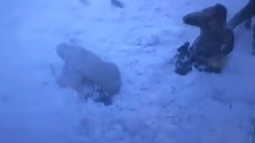 Un niño y dos mujeres heridos al caerle encima la nieve acumulada sobre el tejado de una vivienda en el sur de Rusia