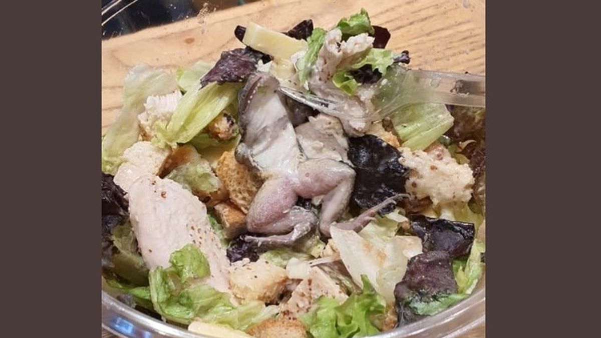 El desagradable descubrimiento de una mujer en un restaurante: una rana muerta en su ensalada