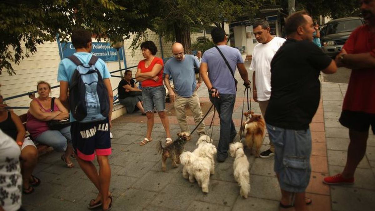 La Policía Nacional investiga casos de envenenamientos de perros en Marbella