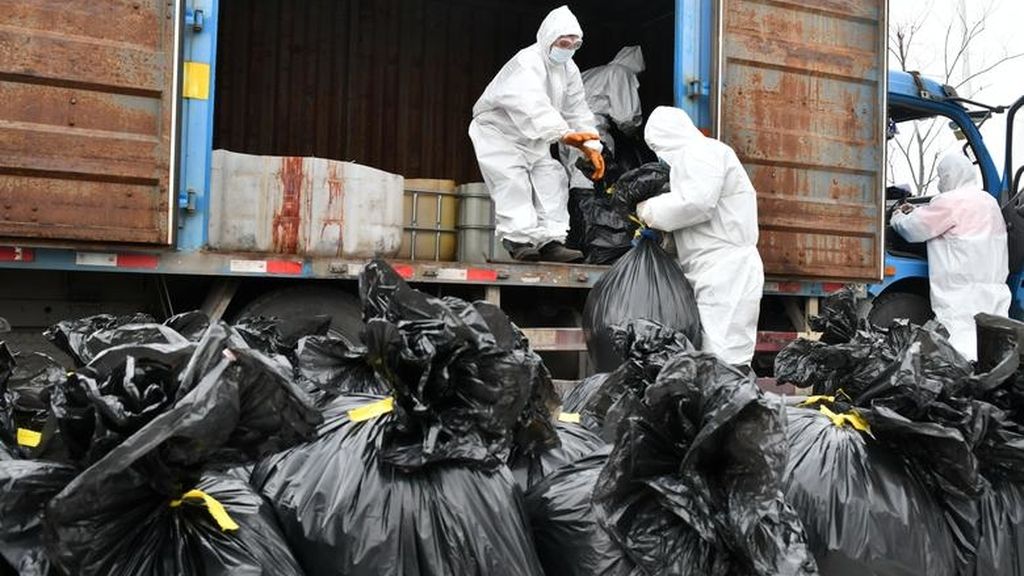 La batalla contra el coronavirus en imágenes