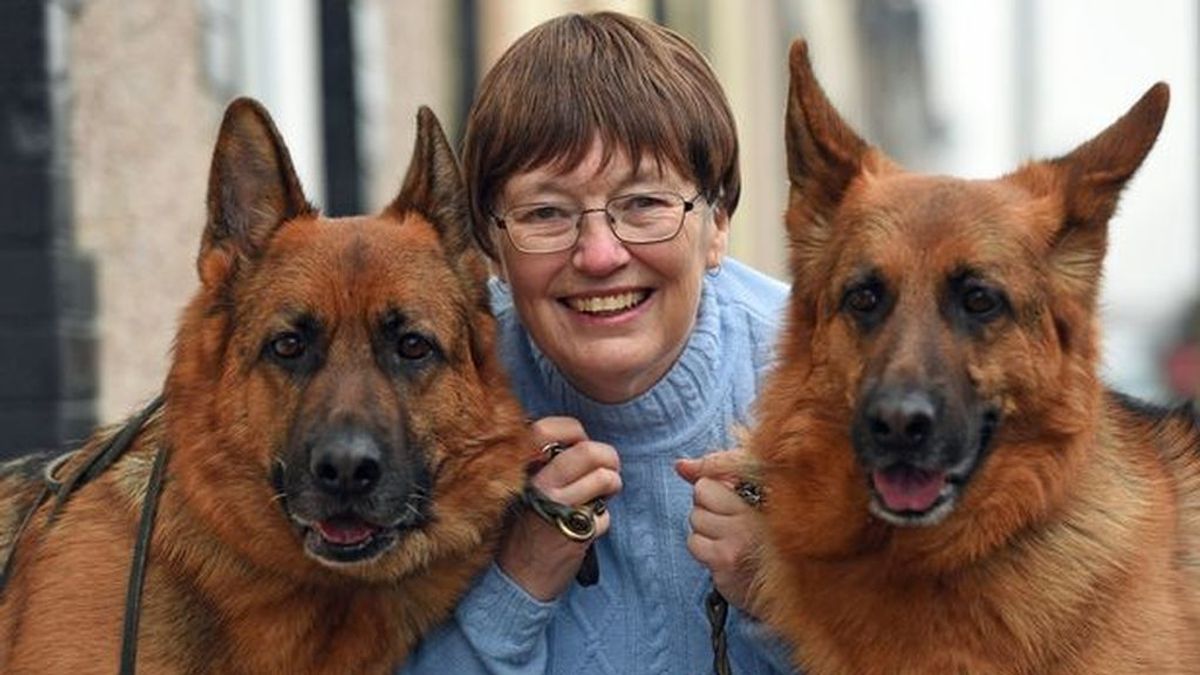 Dos perros salvan a una mujer al detectar que tenía cáncer de mama