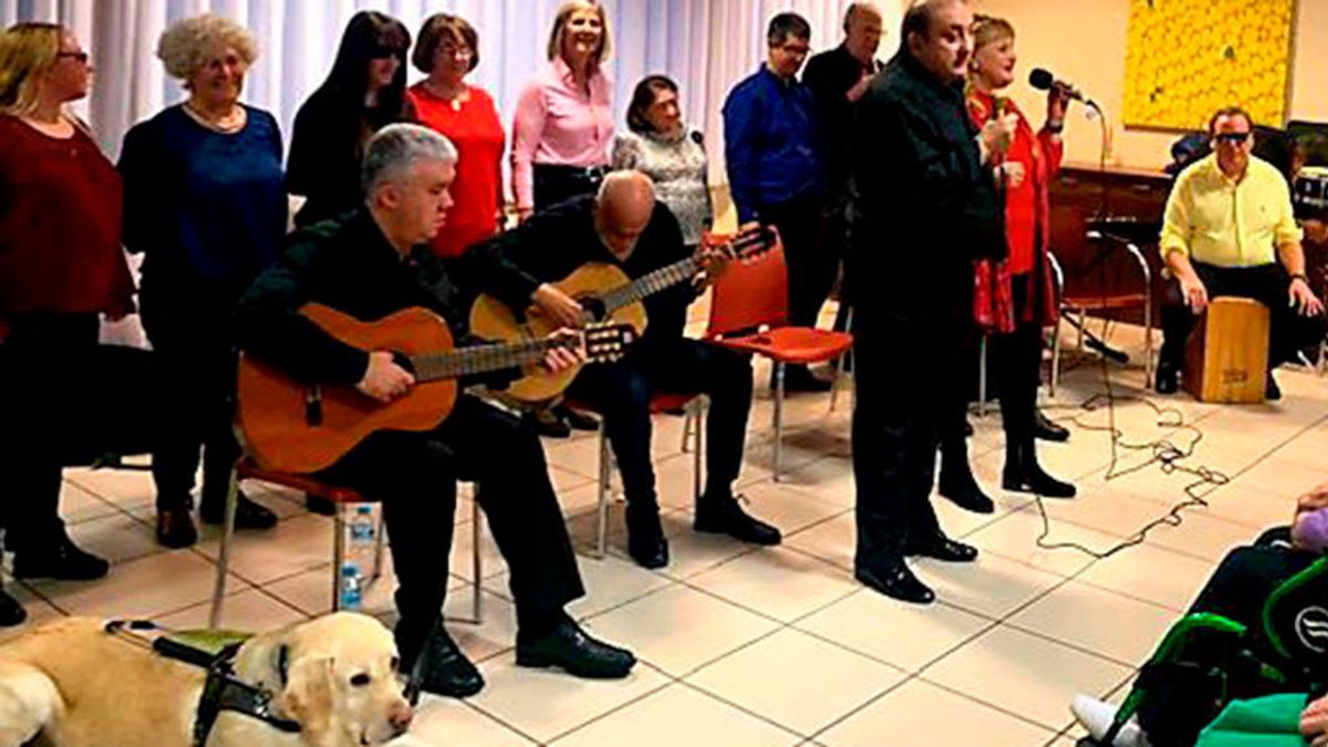 ciegosguitarra ciegosguitarra