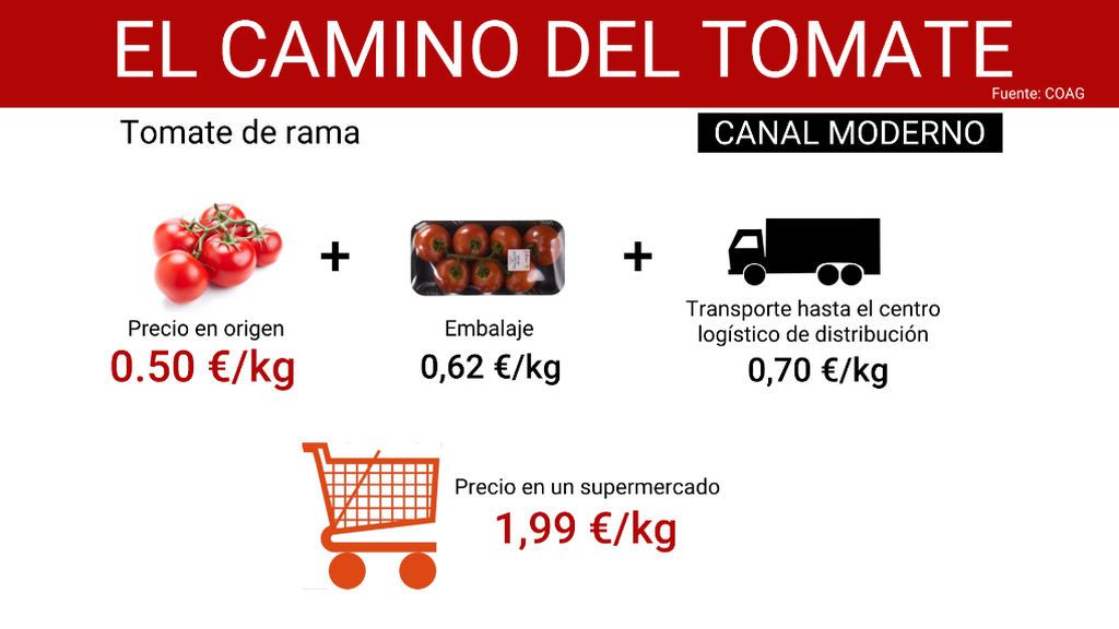 camino_tomate_2