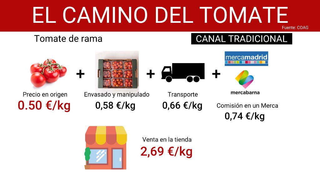 camino_tomate_1