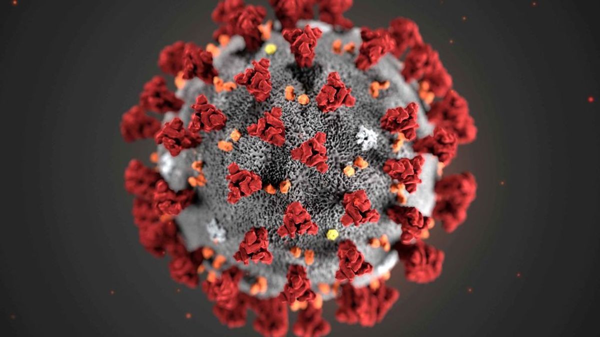 Baleares investiga un posible caso de coronavirus en Mallorca Baleares investiga un posible caso de coronavirus en Mallorca