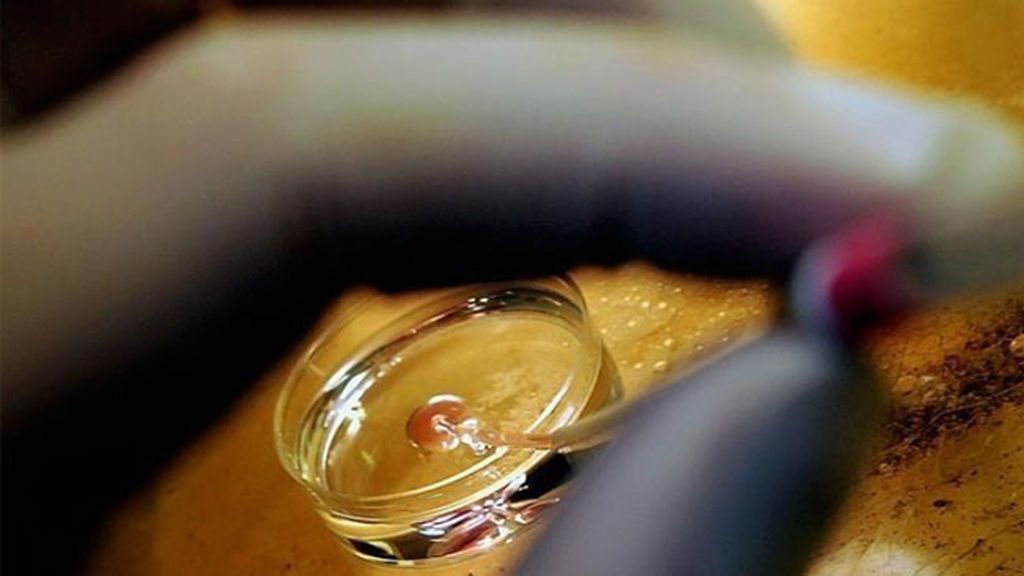El Comité de Bioética propone acabar con el anonimato de las donaciones de semen y óvulos
