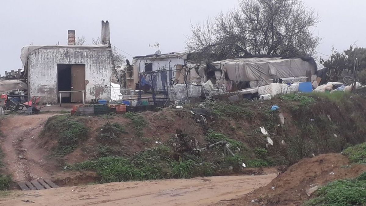 Sin luz, agua ni saneamiento, y en chabolas: muchos temporeros de Huelva malviven en plena temporada de fresa Sin luz, agua ni saneamiento, y en chabolas: muchos temporeros de Huelva malviven en plena temporada de fresa