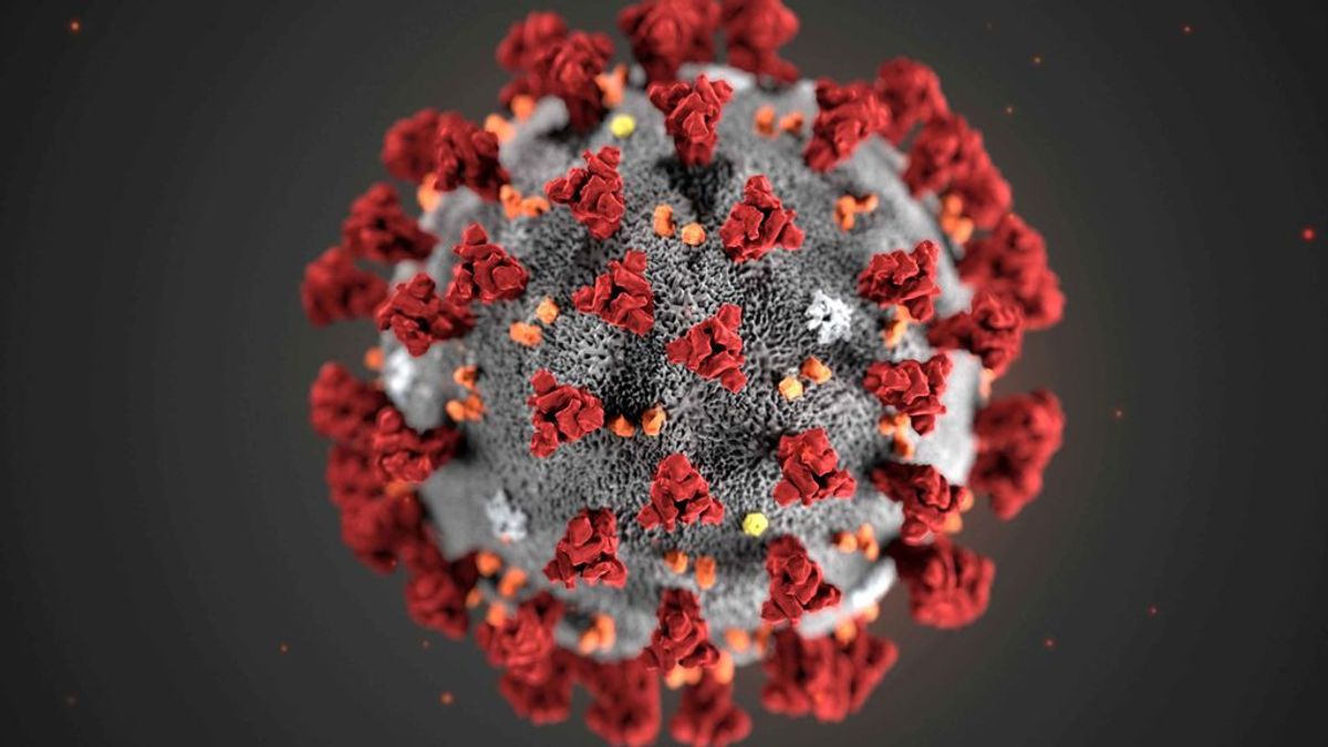 Sanidad confirma un caso de coronavirus en Mallorca Sanidad confirma un caso de coronavirus en Mallorca