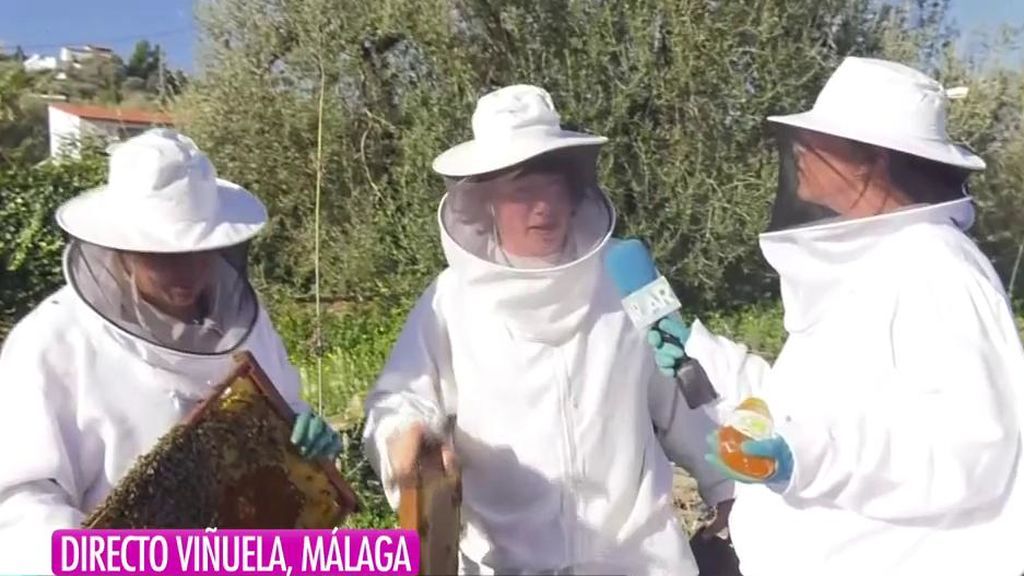 Los apicultores también se quejan de los problemas del mercado