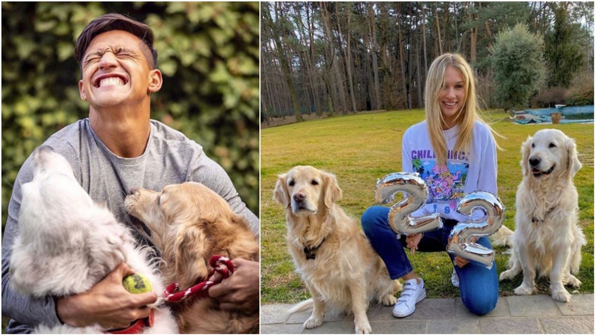 Los perros de Alexis Sánchez, los culpables de la 'pillada' de su nueva relación con una modelo sudafricana de 22 años