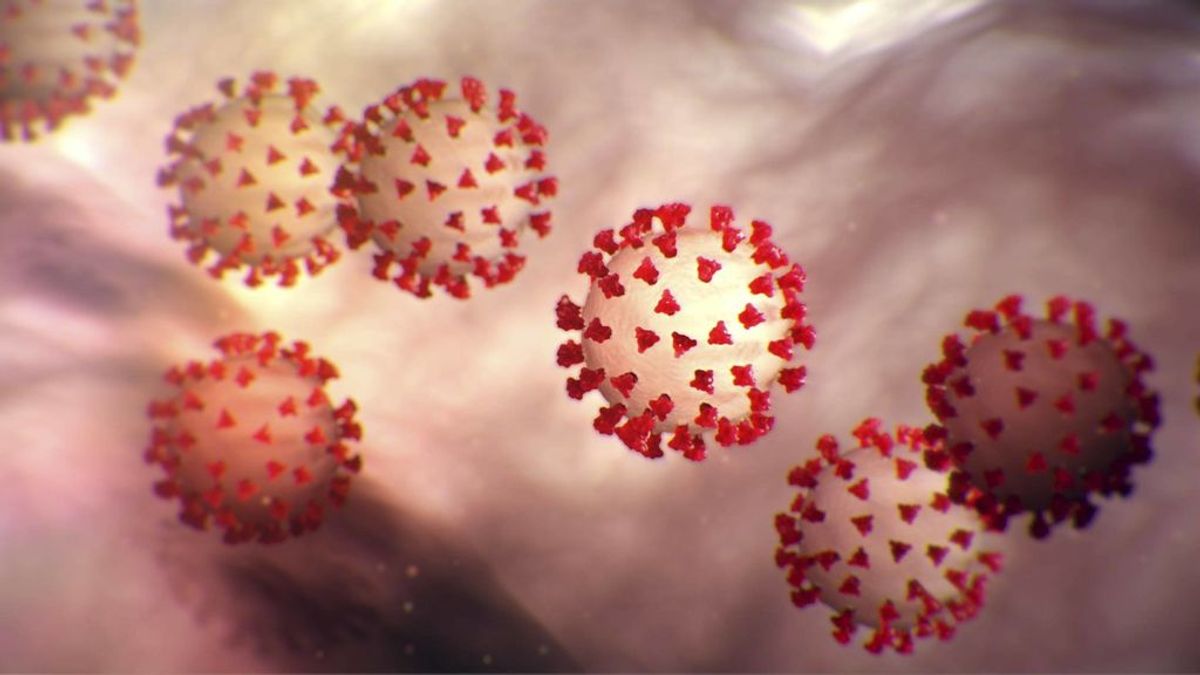 La OMS nombra oficialmente al coronavirus Covid-19 La OMS nombra oficialmente al coronavirus Covid-19