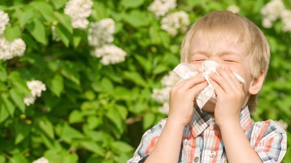 Pico de alergias en febrero: la previsión de arizónicas y otras para lo que queda de mes