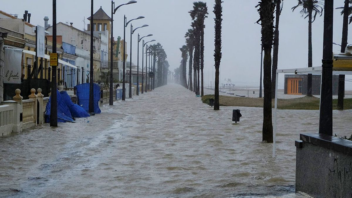 La destrucción ambiental costará a España 8.000 millones de euros anuales, según WWF La destrucción ambiental costará a España 8.000 millones de euros anuales, según WWF