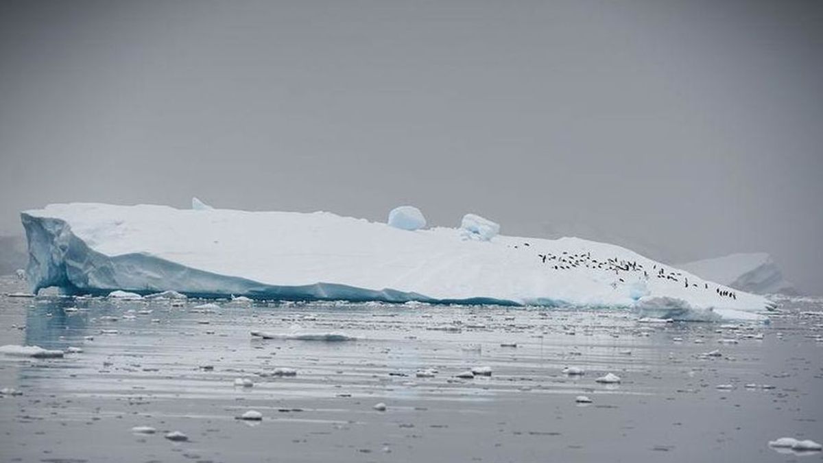 La Antártida se derrite:  su temperatura supera por primera vez los 20 grados