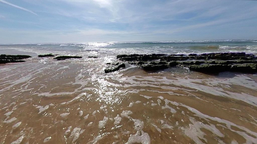 La playa del Palmar