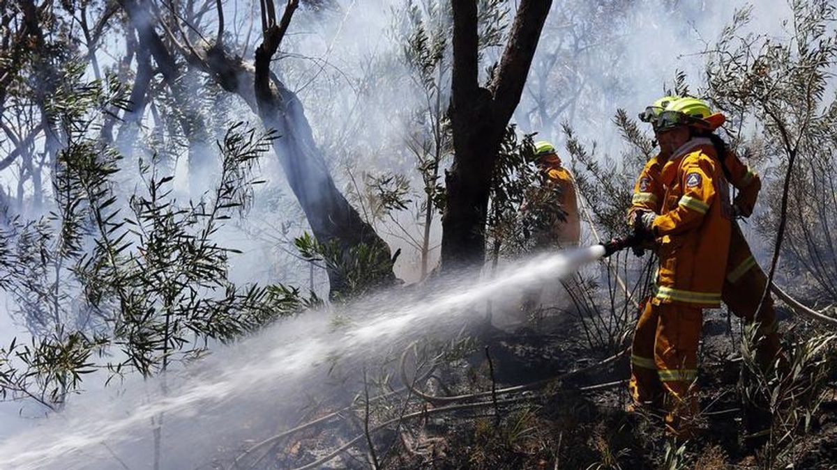 Australia vuelve a respirar: declaran controlados la mayor parte de los incendios registrados desde septiembre
