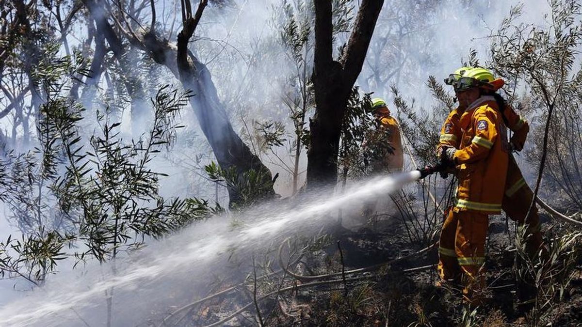Australia vuelve a respirar: declaran controlados la mayor parte de los incendios registrados desde septiembre Australia vuelve a respirar: declaran controlados la mayor parte de los incendios registrados desde septiembre